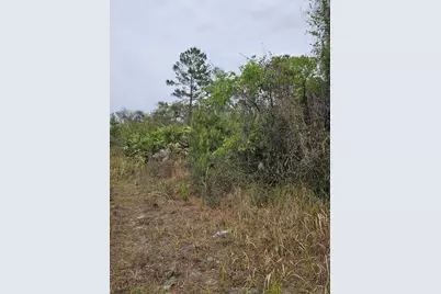 35485 NE 7th Drive, Okeechobee, FL 34972 - Photo 23