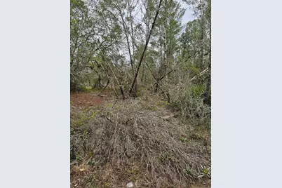 35485 NE 7th Drive, Okeechobee, FL 34972 - Photo 25