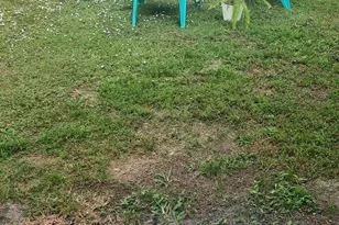 12292 Hillman Dr Dr, Palm Beach Gardens, FL 33410 - Photo 15