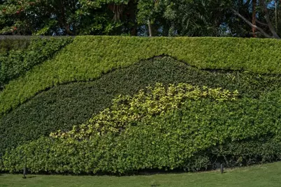 195 Via Marina, Palm Beach, FL 33480 - Photo 23