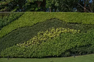 195 Via Marina, Palm Beach, FL 33480 - Photo 23