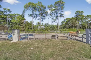 2910 Doe Trail, Loxahatchee, FL 33470 - Photo 85