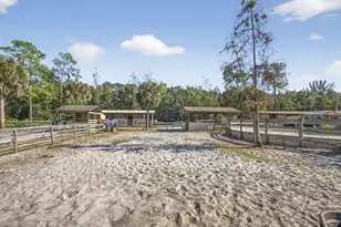 2910 Doe Trail, Loxahatchee, FL 33470 - Photo 89