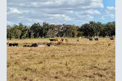 5007 SE 42nd Street, Okeechobee, FL 34974 - Photo 27