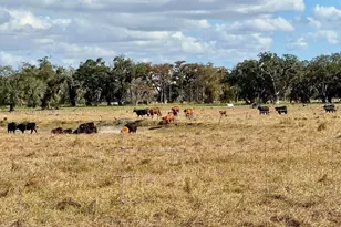 5007 SE 42nd St, Okeechobee, FL 34974 - Photo 27