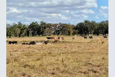 5007 SE 42nd Street, Okeechobee, FL 34974 - Photo 27