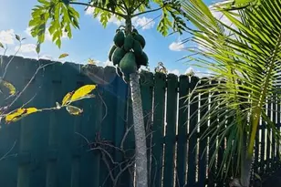 221 SW Kestor Dr, Port Saint Lucie, FL 34953 - Photo 29