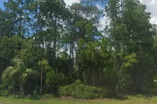 Lot 8 Renault Circle, North Port, FL 34291 - Photo 1