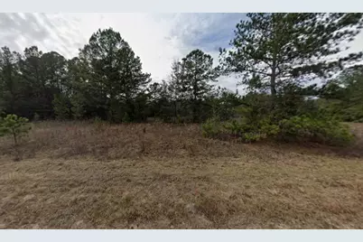 Tbd Mullins Avenue, Interlachen, FL 32148 - Photo 1