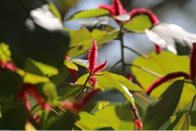 15262 Natures Point Lane, Wellington, FL 33414 - Photo 3