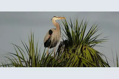 27064 SW Viterbo Way, Port Saint Lucie, FL 34986 - Photo 33