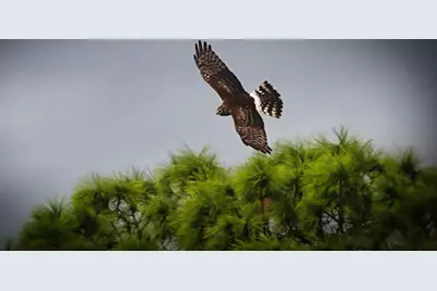 27064 SW Viterbo Way, Port Saint Lucie, FL 34986 - Photo 37