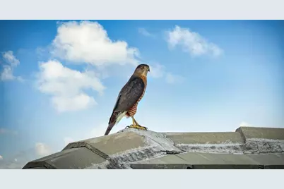 27064 SW Viterbo Way, Port Saint Lucie, FL 34986 - Photo 31