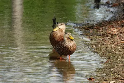27064 SW Viterbo Way, Port Saint Lucie, FL 34986 - Photo 35