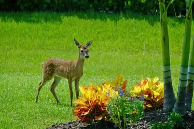 27064 SW Viterbo Way, Port Saint Lucie, FL 34986 - Photo 27