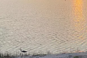 810 Sky Pine Way, Greenacres, FL 33415 - Photo 31