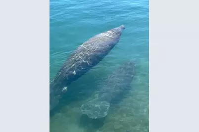 5600 N Flagler Drive #307, West Palm Beach, FL 33407 - Photo 21