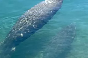 5600 N Flagler Dr, West Palm Beach, FL 33407 - Photo 21