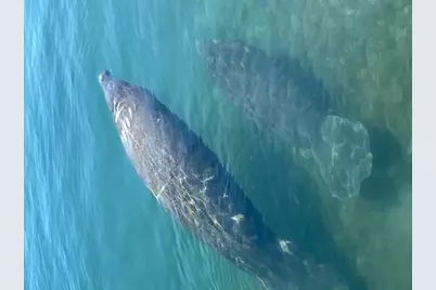 5600 N Flagler Drive #307, West Palm Beach, FL 33407 - Photo 21