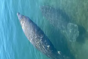 5600 N Flagler Dr, West Palm Beach, FL 33407 - Photo 21