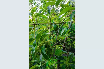 875 NW 120th Avenue, Plantation, FL 33325 - Photo 97