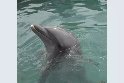 7073 Hawks Cay Boulevard, Marathon, FL 33050 - Photo 47