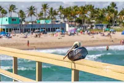 405 N Ocean Boulevard #208, Pompano Beach, FL 33062 - Photo 61