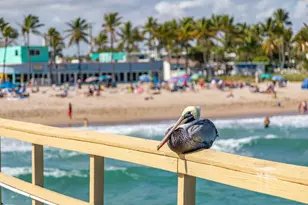 405 N Ocean Blvd, Pompano Beach, FL 33062 - Photo 61