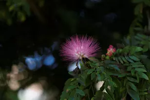 6595 Parkview Dr, Boca Raton, FL 33433 - Photo 27