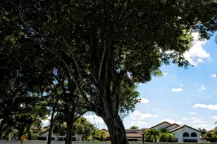 6595 Parkview Dr, Boca Raton, FL 33433 - Photo 25