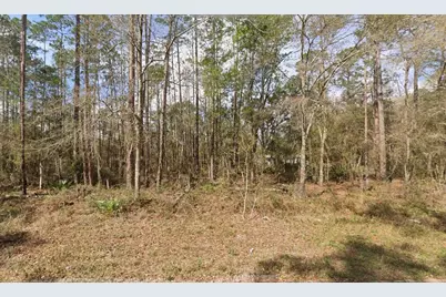 Tbd Seminole Avenue, Interlachen, FL 32148 - Photo 1