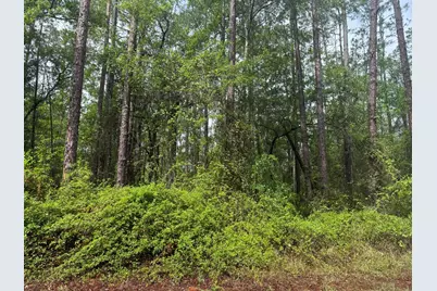 Tbd Seminole Avenue, Interlachen, FL 32148 - Photo 3
