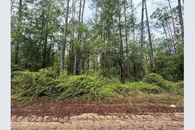 Tbd Seminole Avenue, Interlachen, FL 32148 - Photo 1
