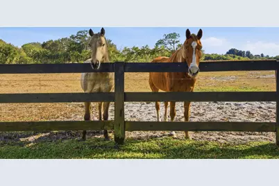 13850 SW Allapattah Road, Indiantown, FL 34956 - Photo 85