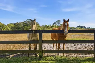 13850 SW Allapattah Rd, Indiantown, FL 34956 - Photo 85