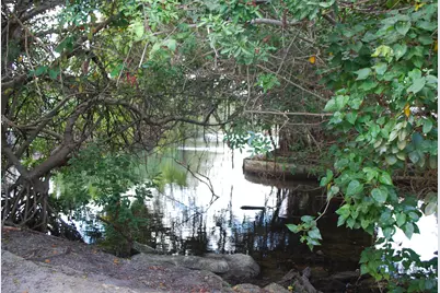 19232 NE 25th Avenue #221b, Miami, FL 33180 - Photo 47