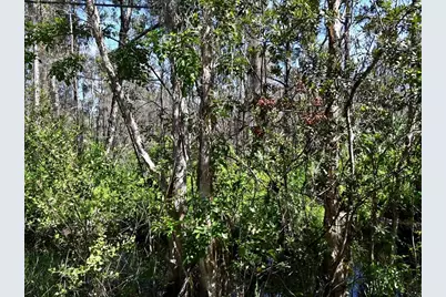 -- Dyer Road, Port Saint Lucie, FL 34952 - Photo 3