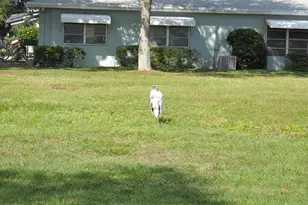 277 High Point Ct W, Delray Beach, FL 33445 - Photo 29