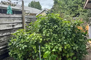 14539 Wood Pine Dr, Delray Beach, FL 33445 - Photo 29