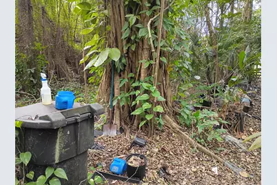 16038 Robin Way, Jupiter, FL 33478 - Photo 15