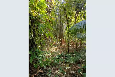 16038 Robin Way, Jupiter, FL 33478 - Photo 25