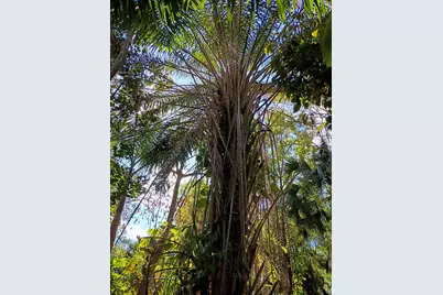 16038 Robin Way, Jupiter, FL 33478 - Photo 27