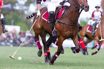 10712 Willow Oak Court, Wellington, FL 33414 - Photo 51