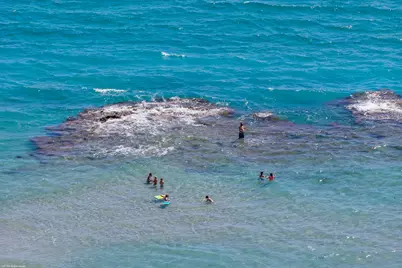 3800 N Ocean Drive #1450, Singer Island, FL 33404 - Photo 73