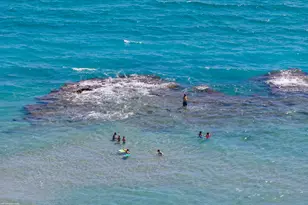 3800 N Ocean Dr, Singer Island, FL 33404 - Photo 73