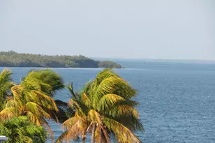 103 Starfish Ln, Tavernier, FL 33070 - Photo 27