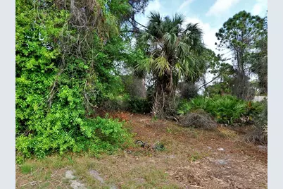 Tbd Trilby Avenue, North Port, FL 34286 - Photo 1