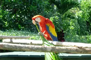 5440 N Ocean Dr, Singer Island, FL 33404 - Photo 35