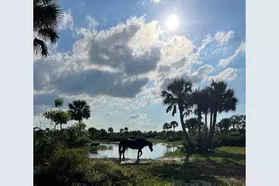 1303 Cabbage Lane, Okeechobee, FL 34974 - Photo 9