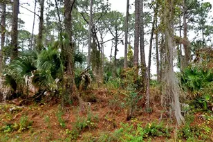 Tbd Giblin Dr, North Port, FL 34286 - Photo 1